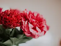 Rieder Fleurs - cliccare per ingrandire l’immagine 3 in una lightbox