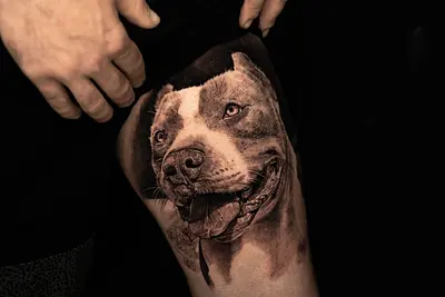 Tattoo Realism Black and Grey - Dog Portrait - Leg Project.