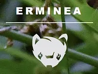 Erminea – Cliquez pour agrandir l’image 1 dans une Lightbox