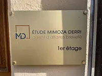 Etude Mimoza Derri - cliccare per ingrandire l’immagine 2 in una lightbox