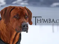 Thimba GmbH - cliccare per ingrandire l’immagine 1 in una lightbox
