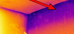 Schimmel (Thermografie)