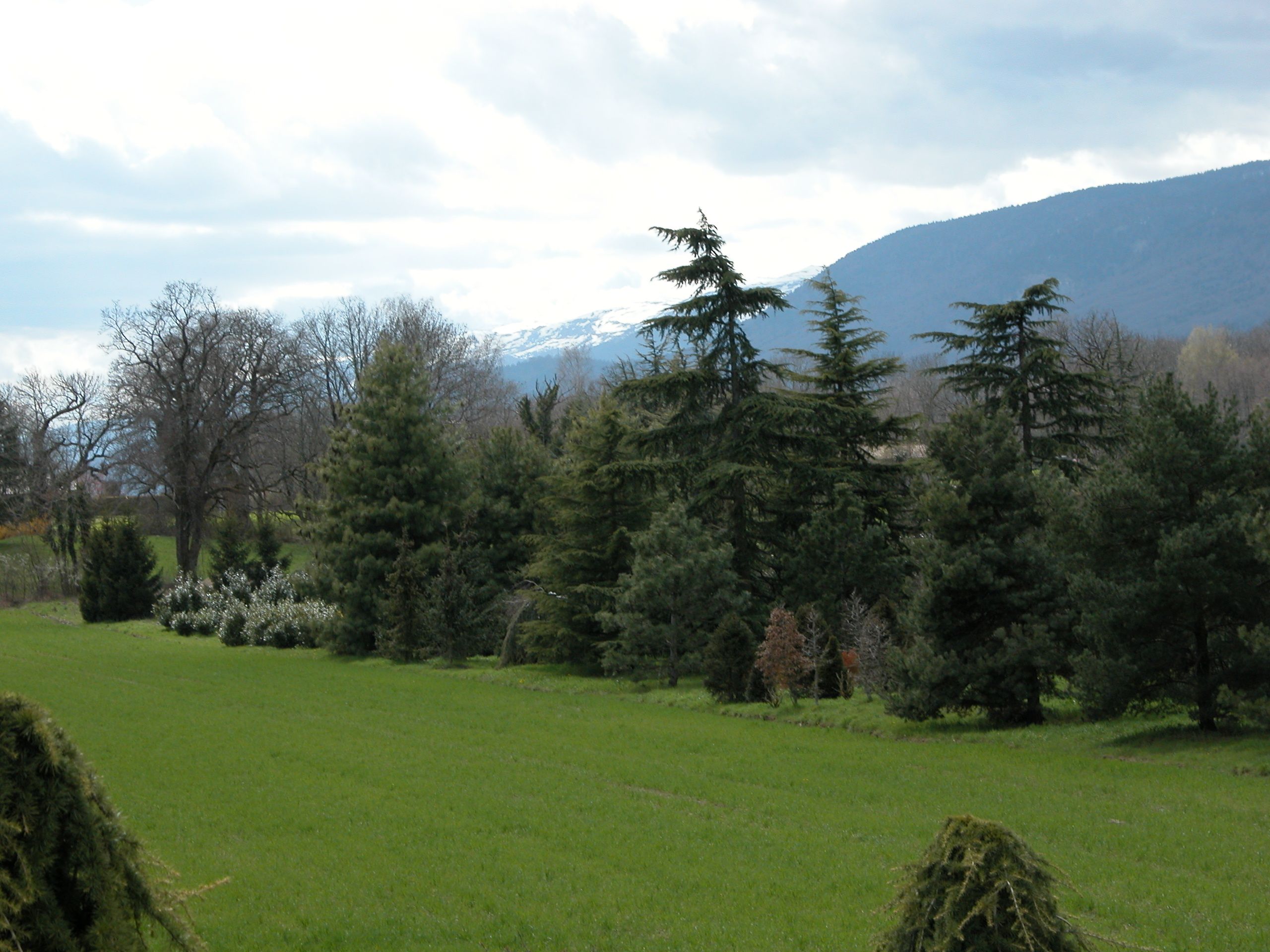 Pépinière