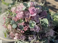 Blumen La Violetta - Klicken Sie, um das Bild 8 in einer Lightbox vergrössert darzustellen
