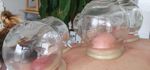 Cours de ventouses basic et avancé, formation en Médecine Chinoise MTC, Sion