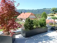 Stähli Gartengestaltung GmbH - cliccare per ingrandire l’immagine 7 in una lightbox
