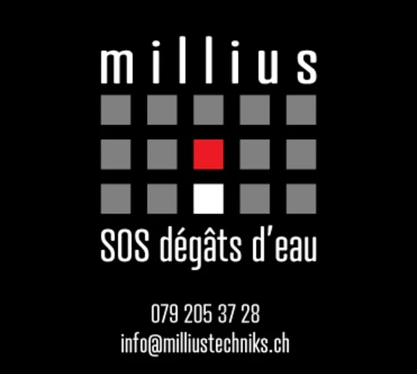 MILLIUS SOS DEGATS D'EAU