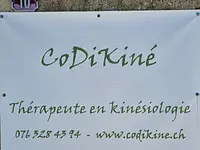 CoDiKiné - Diego Cochard – click to enlarge the image 8 in a lightbox