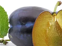 Dreyer AG - Früchte, Gemüse, Tiefkühlprodukte - Klicken Sie, um das Bild 7 in einer Lightbox vergrössert darzustellen