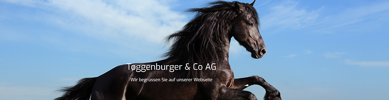 Toggenburger & Co AG