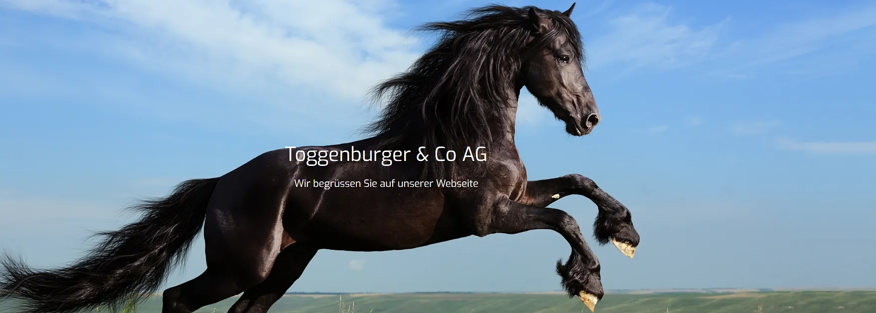 Toggenburger & Co AG