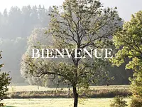 Commune de Val-de-Travers - cliccare per ingrandire l’immagine 2 in una lightbox