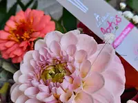 A la fleur de Lotus – Cliquez pour agrandir l’image 19 dans une Lightbox