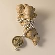 Melania Crocco : Pearl neckace with  ancient Buddha pendant with diamonds