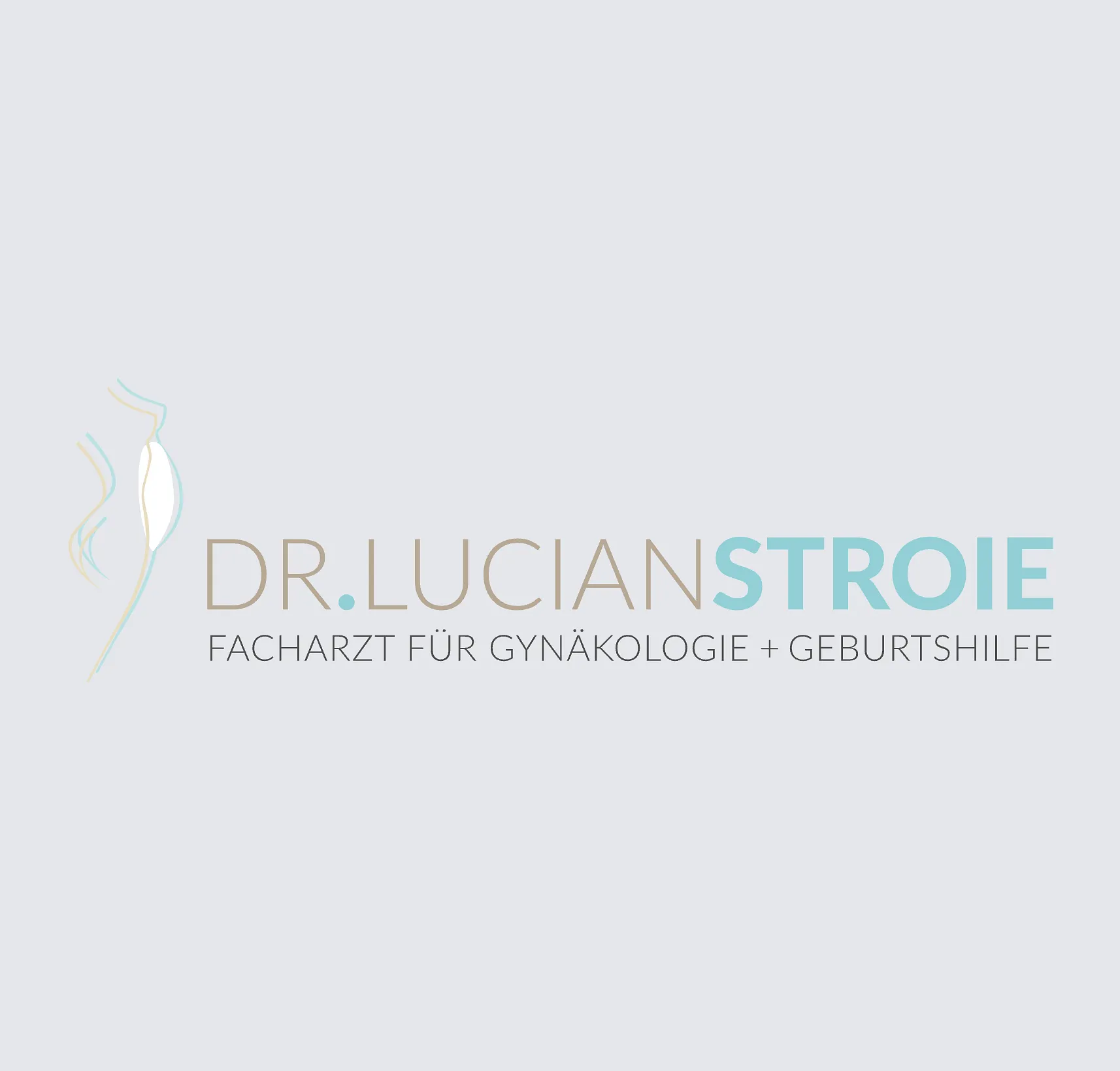 Dr. Lucian Stroie