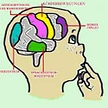 EEG-Neurofeedback Praxis, Marina Staudacher, Effretikon ZH