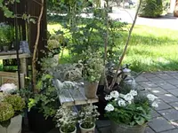Gärtnerei und Blumengeschäft Sommer - Klicken Sie, um das Bild 1 in einer Lightbox vergrössert darzustellen