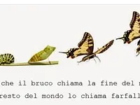 Florisafari di Katica Ruspini – click to enlarge the image 12 in a lightbox
