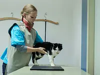Tierarztpraxis Rösslimatte GmbH - Klicken Sie, um das Bild 3 in einer Lightbox vergrössert darzustellen