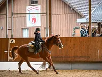 Reitsportzentrum St. Josefen AG – click to enlarge the image 9 in a lightbox