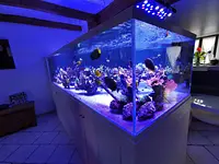 Aquarium-Bassin SARL – Cliquez pour agrandir l’image 6 dans une Lightbox