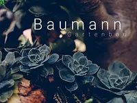 Baumann Gartenbau AG – click to enlarge the image 3 in a lightbox
