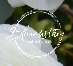 logo/bluemestaern