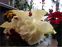 Fragrance Fleurs du Jorat Gameiro Brigitte – Cliquez pour agrandir l’image 5 dans une Lightbox