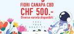 Spring Offer: 1kg CBD HEMP FLOWERS
