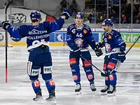 ZSC Lions AG – click to enlarge the image 4 in a lightbox