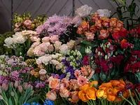 Blumen Iseli - Klicken Sie, um das Bild 9 in einer Lightbox vergrössert darzustellen