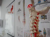 Human Care - Fisioterapia e Riabilitazione - Centro del Mal di Schiena – click to enlarge the image 4 in a lightbox