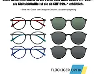 FLÜCKIGER OPTIK & HÖRCENTER GmbH - cliccare per ingrandire l’immagine 4 in una lightbox