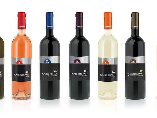Weinbau Kaiserspan – cliquer pour agrandir l’image panoramique