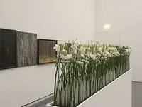 Blumen Diener - cliccare per ingrandire l’immagine 17 in una lightbox