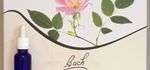 Séance Fleurs de Bach