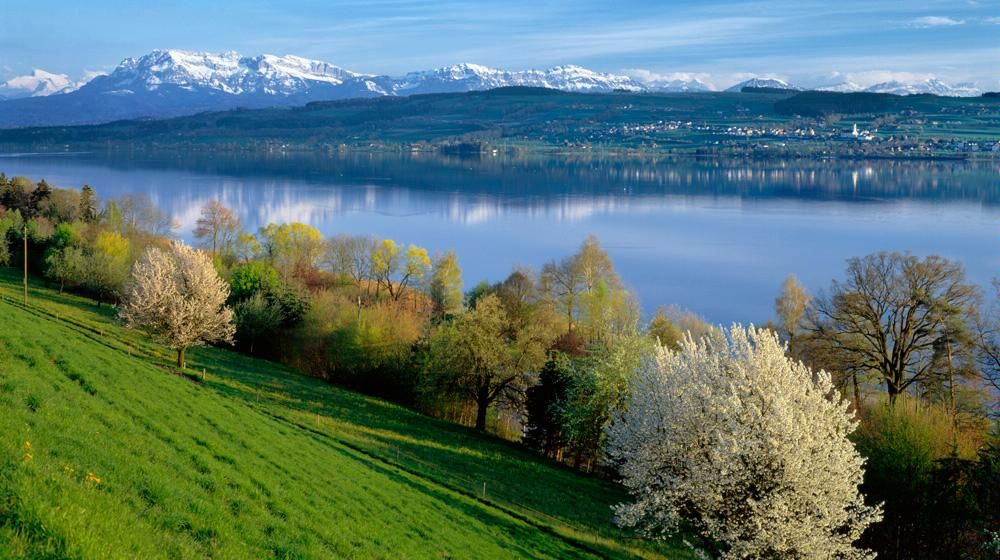 Sempachersee