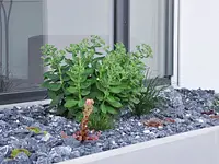 Zemp Gartenbau - Klicken Sie, um das Bild 1 in einer Lightbox vergrössert darzustellen