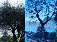 Nesurini Daniele - Lavori Forestali e Segheria – click to enlarge the image 5 in a lightbox