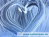 Total CLEAN – click to enlarge the image 2 in a lightbox