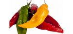 Strong colored pepper for ceviche