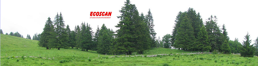 Ecoscan SA