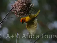 A + M Africa Tours GmbH - Klicken Sie, um das Bild 22 in einer Lightbox vergrössert darzustellen