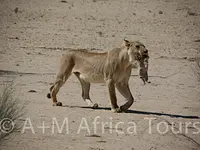 A + M Africa Tours GmbH - cliccare per ingrandire l’immagine 27 in una lightbox