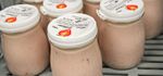 BÜFFELMILCH JOGHURT
