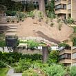 Progettazione manutenzione trasformazione giardini costruzione giardiniere diplomato Lugano