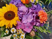 Blumen und Pflanzen - Klicken Sie, um das Bild 8 in einer Lightbox vergrössert darzustellen