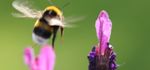 Fotokurs in der Natur