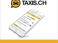 AA Coopérative 202 Taxis Limousine Genève - cliccare per ingrandire l’immagine 1 in una lightbox