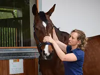 Equine Sports Medicine Services GmbH – click to enlarge the image 14 in a lightbox